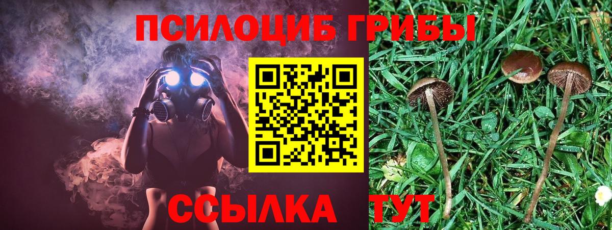 Галлюциногенные грибы MAGIC MUSHROOMS  Вход с VPN  купить наркотик  Северск 