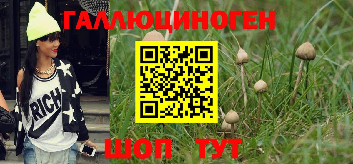 Псилоцибиновые грибы мицелий Северск