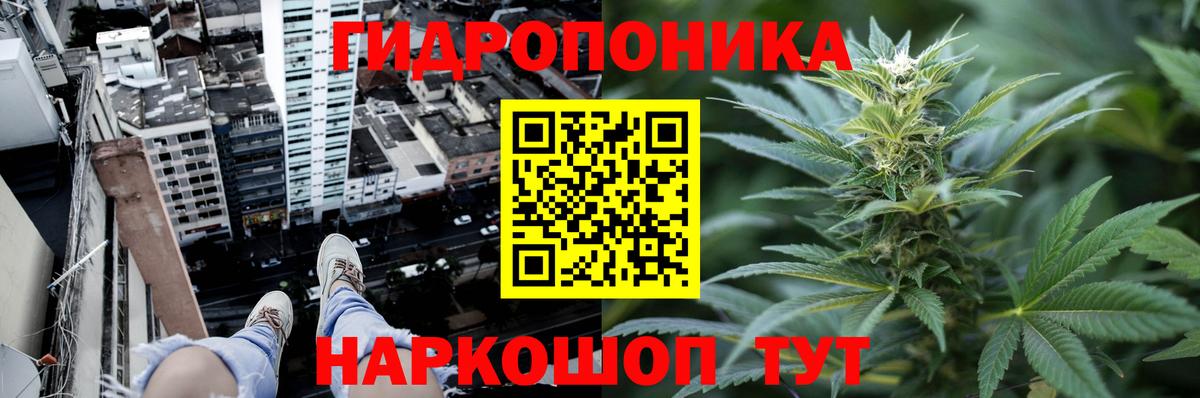 Северск  Каннабис Bruce Banner  Шишки марихуана индика  Конопля марихуана  Вход с VPN 